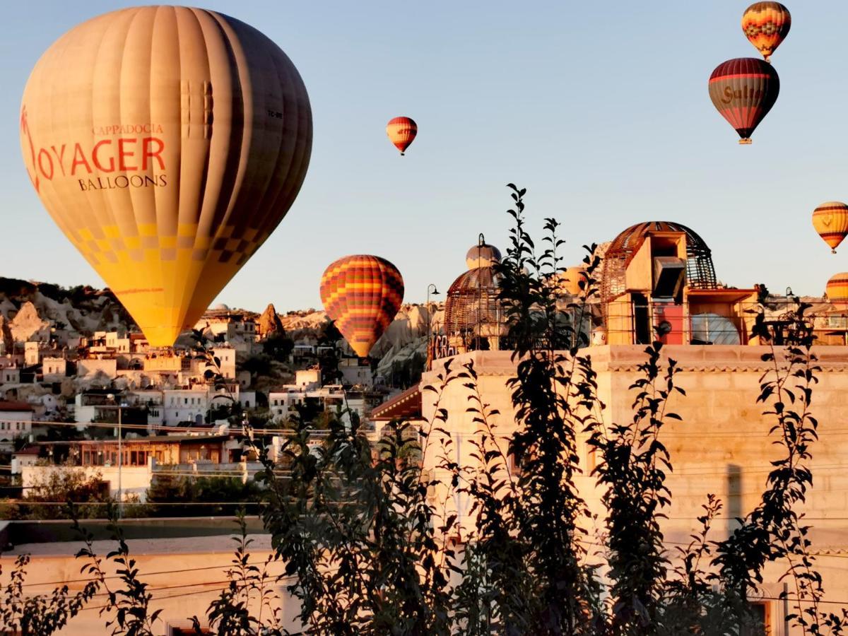 Falcon Cave 2* Goreme